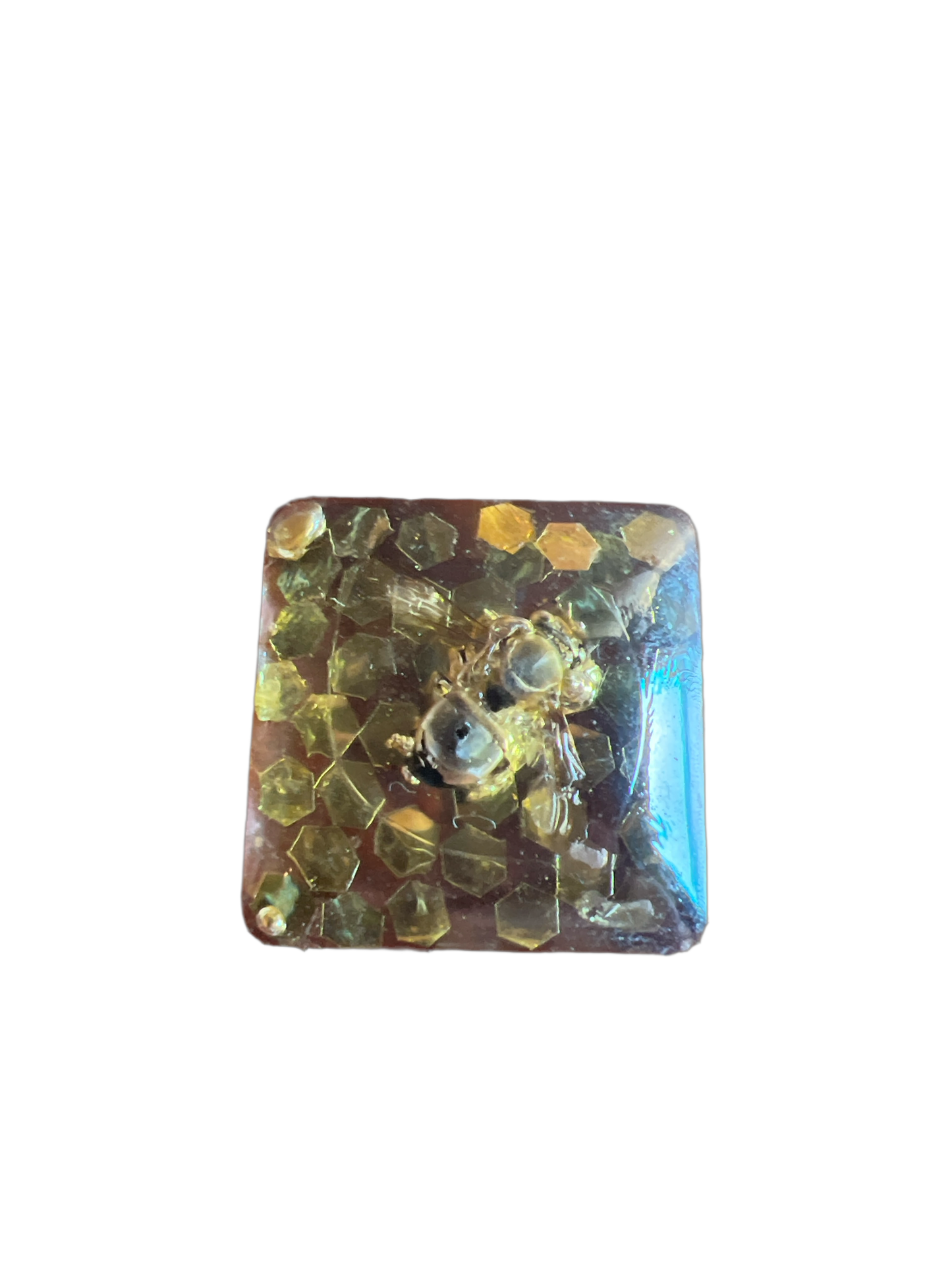 Bee Taxidermy: $5 Bin