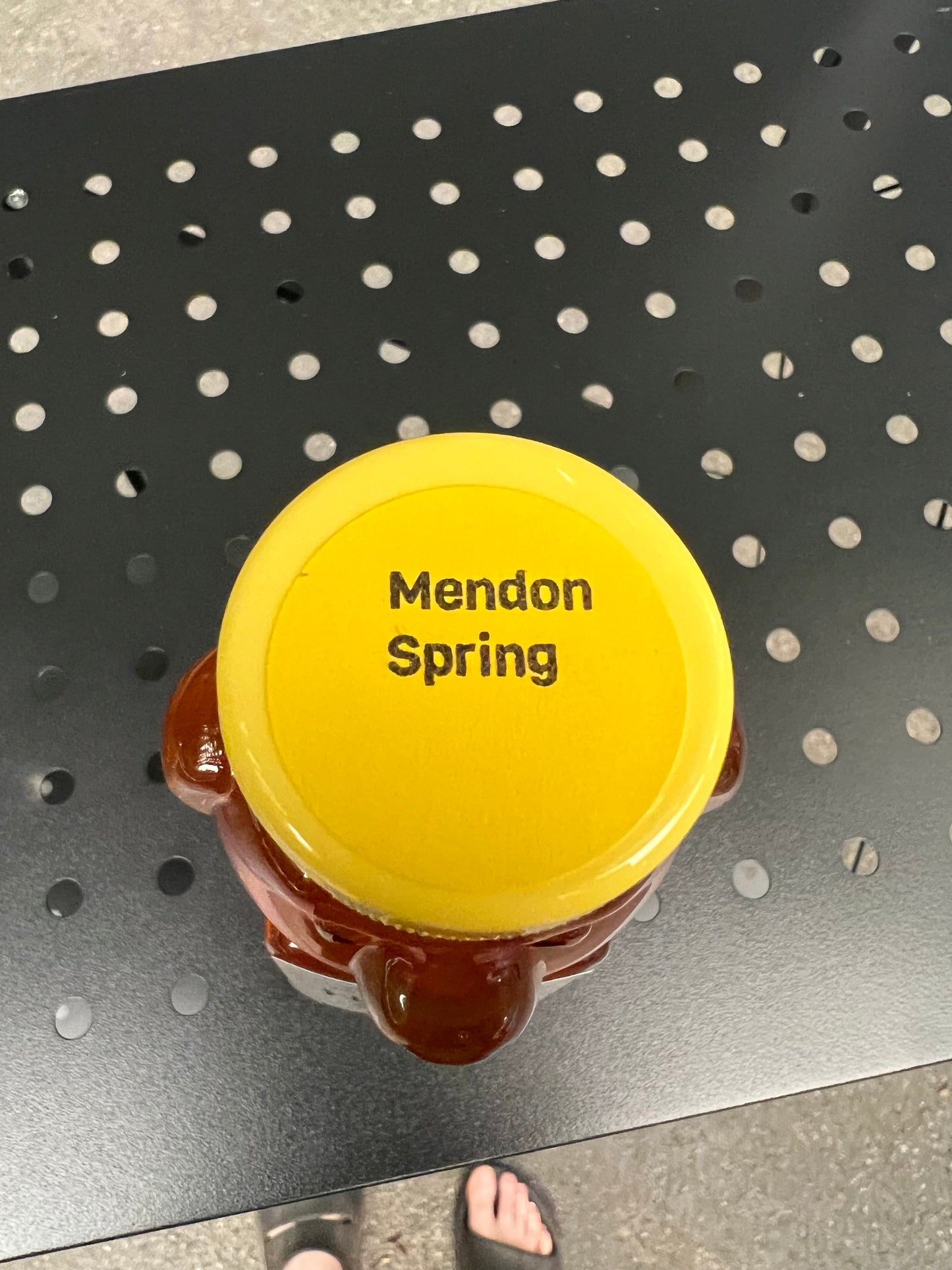 Mendon Spring
