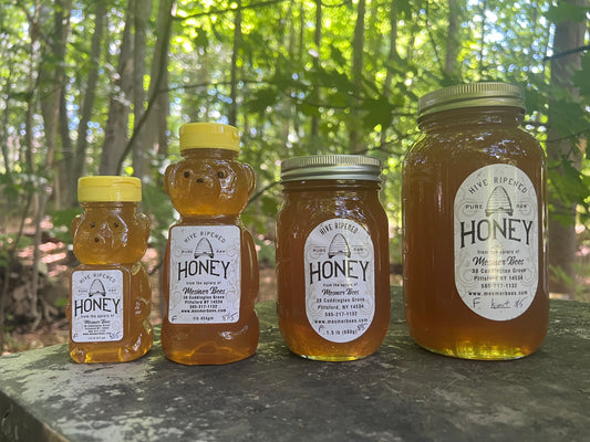 Summer 8/15/25 Fishers