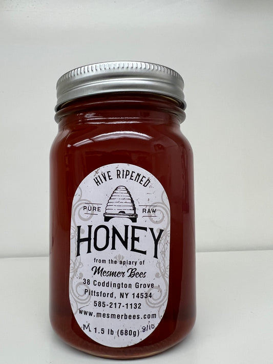 Summer 8/10/24 Mendon