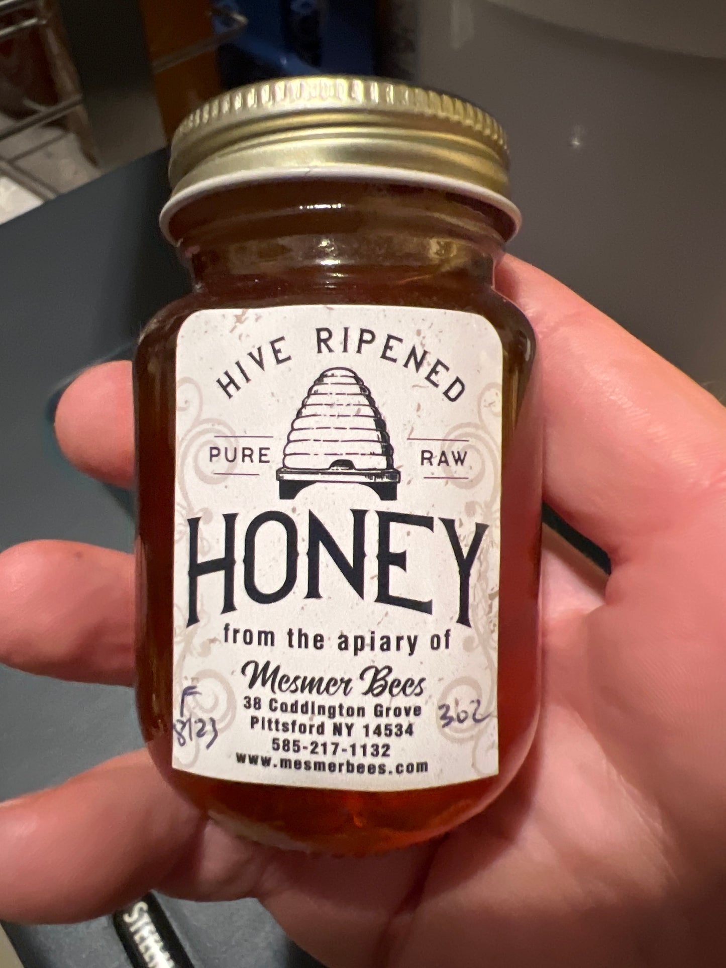 Summer 8/23/24 Fishers