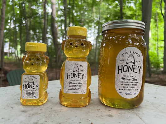 Spring 7/4/2025 Mendon