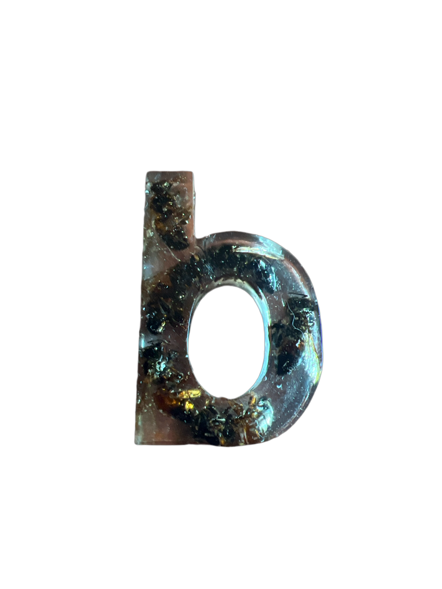 Bee Taxidermy: $5 Bin