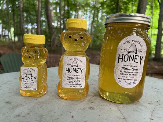 Spring 7/6/25 Fishers