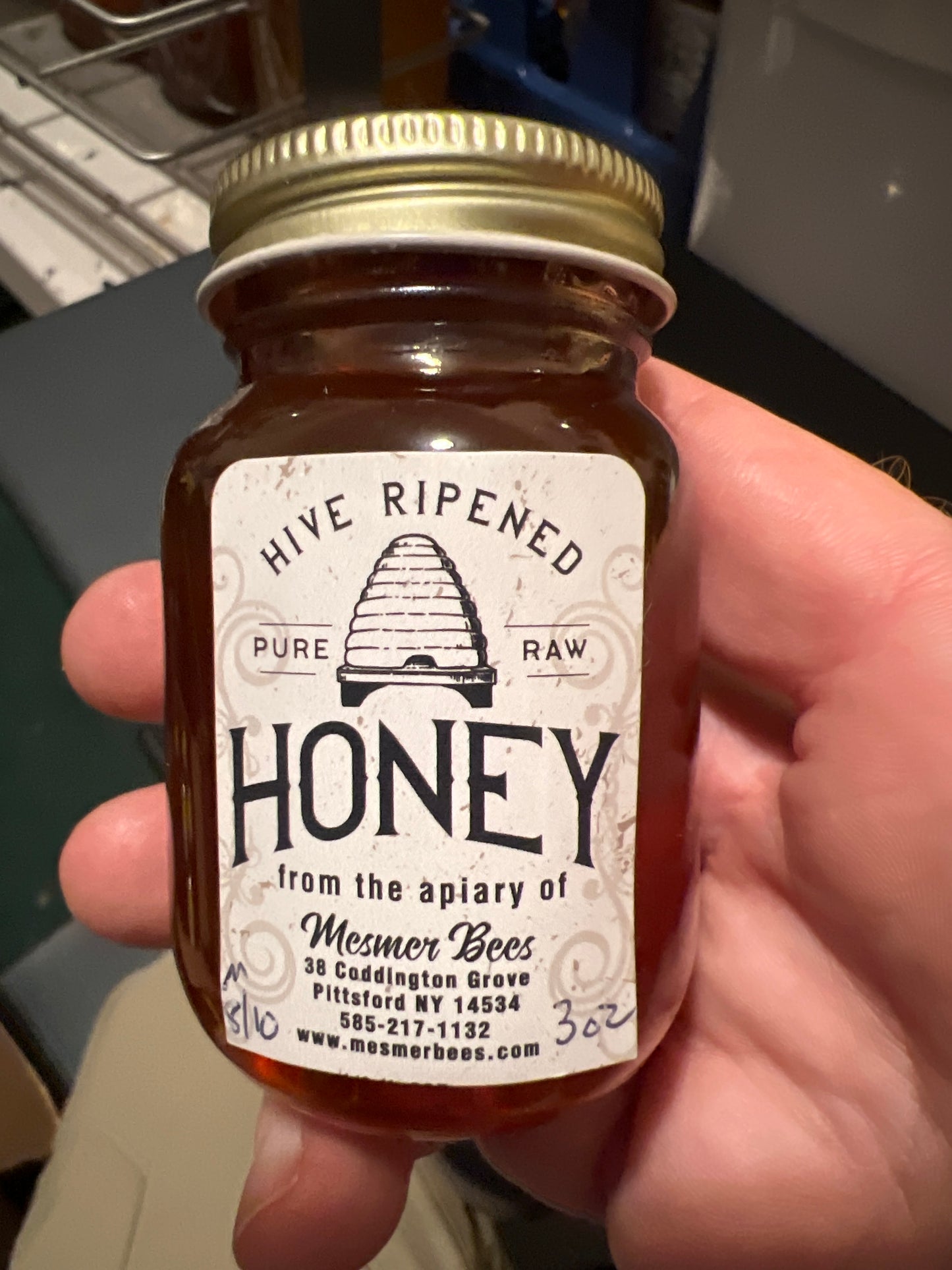 Summer 8/10/24 Mendon