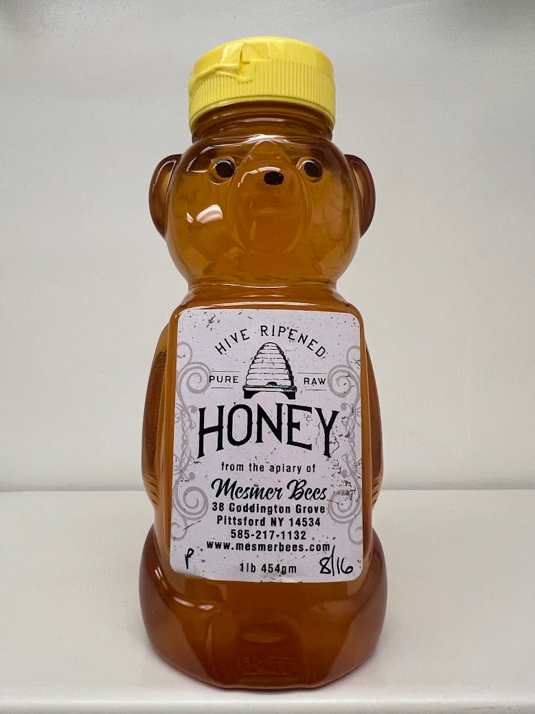 Summer 8/16/23 Pittsford