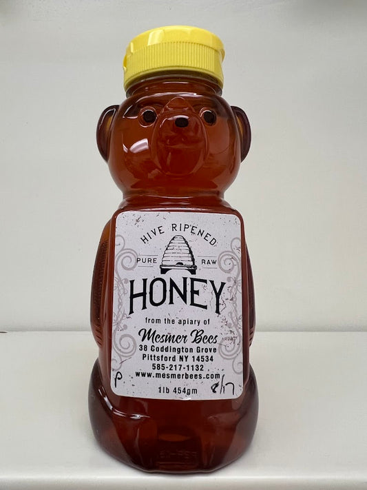 Summer 8/17/24 Pittsford