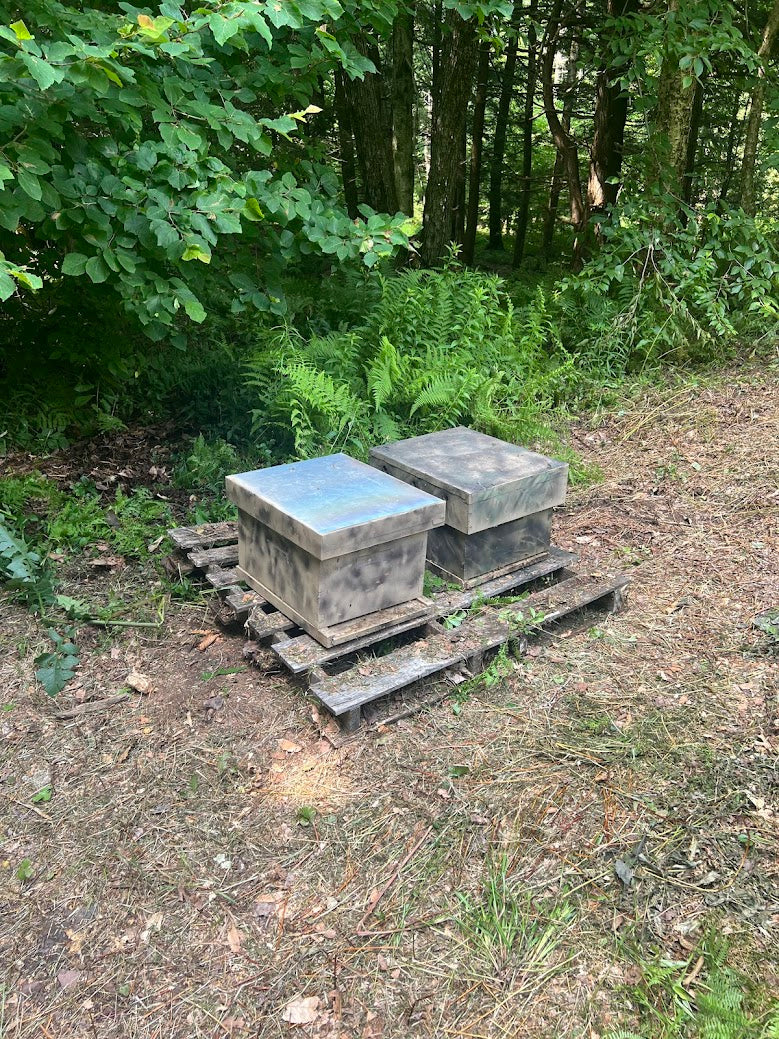 Tug Hill Honey