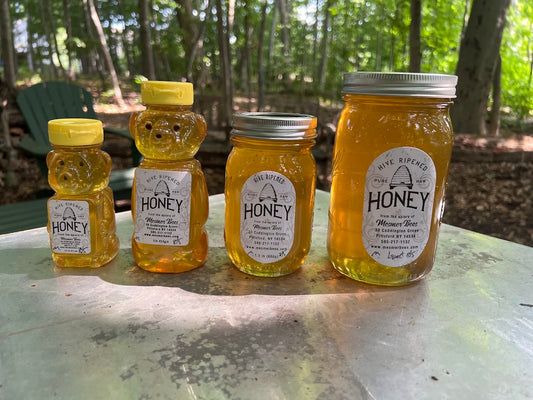 Summer 8/5/25 Mendon