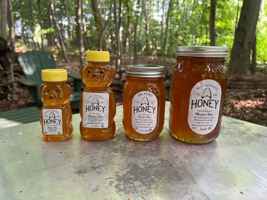 Summer 8/6/25 Honeoye Falls