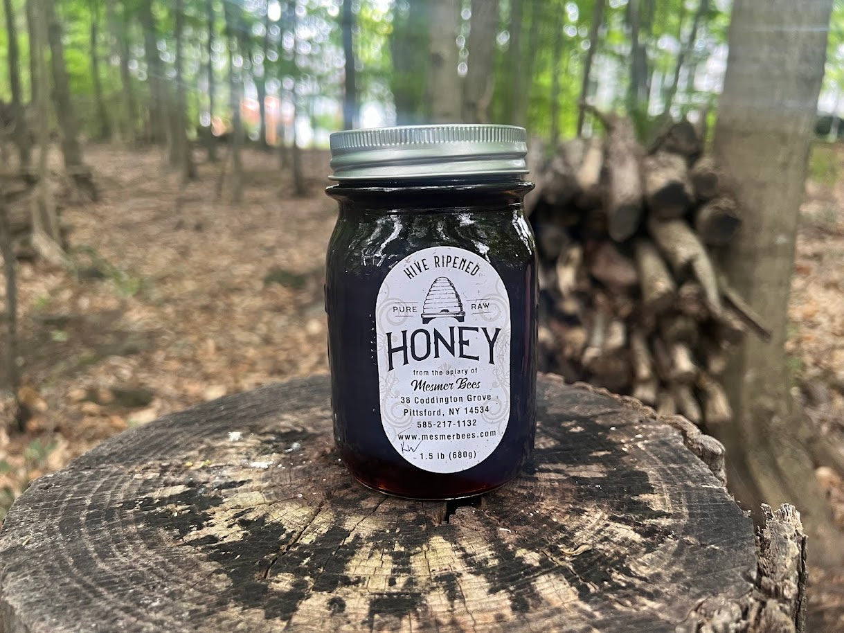 Knotweed Honey