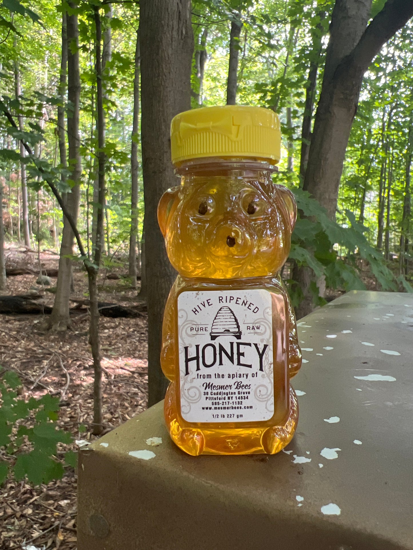 Mendon Ponds Summer