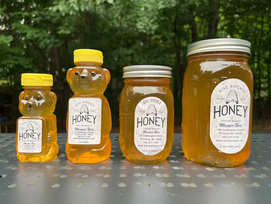 Honeoye Falls Spring
