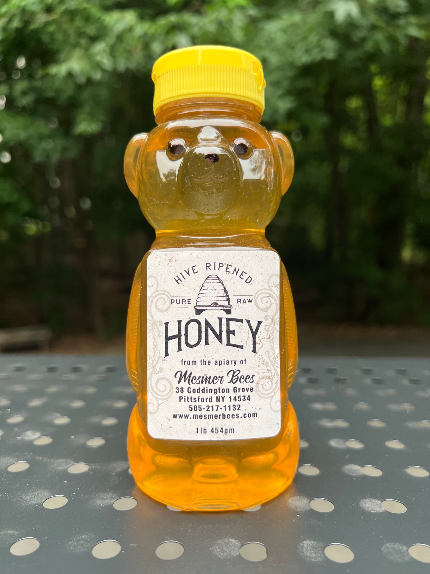 Honeoye Falls Spring