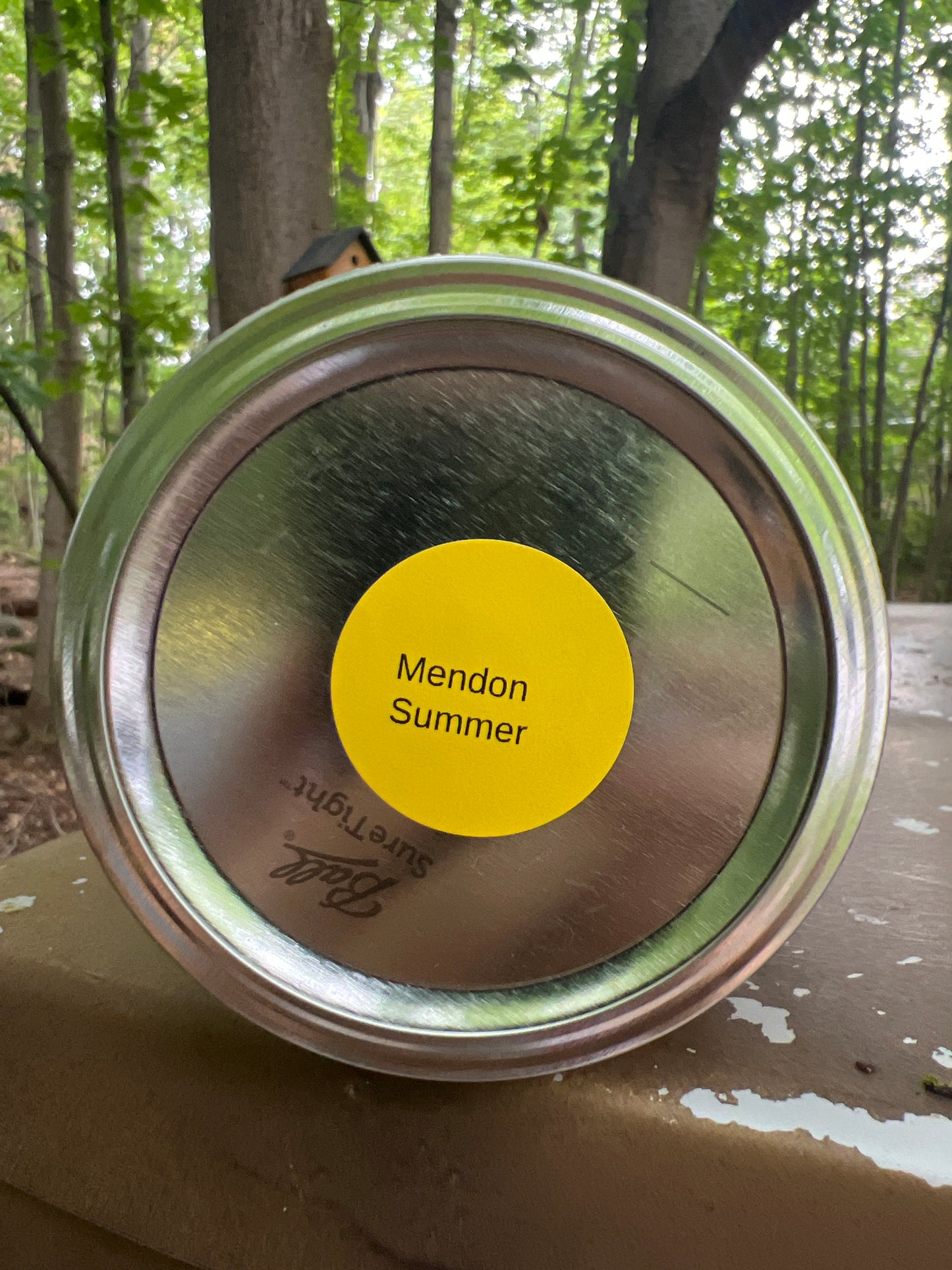 Mendon Summer