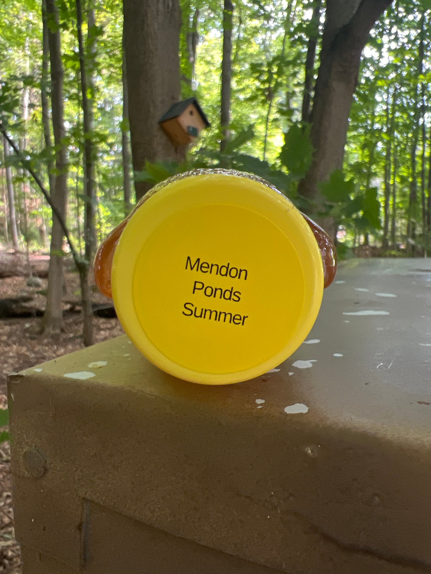 Mendon Ponds Summer