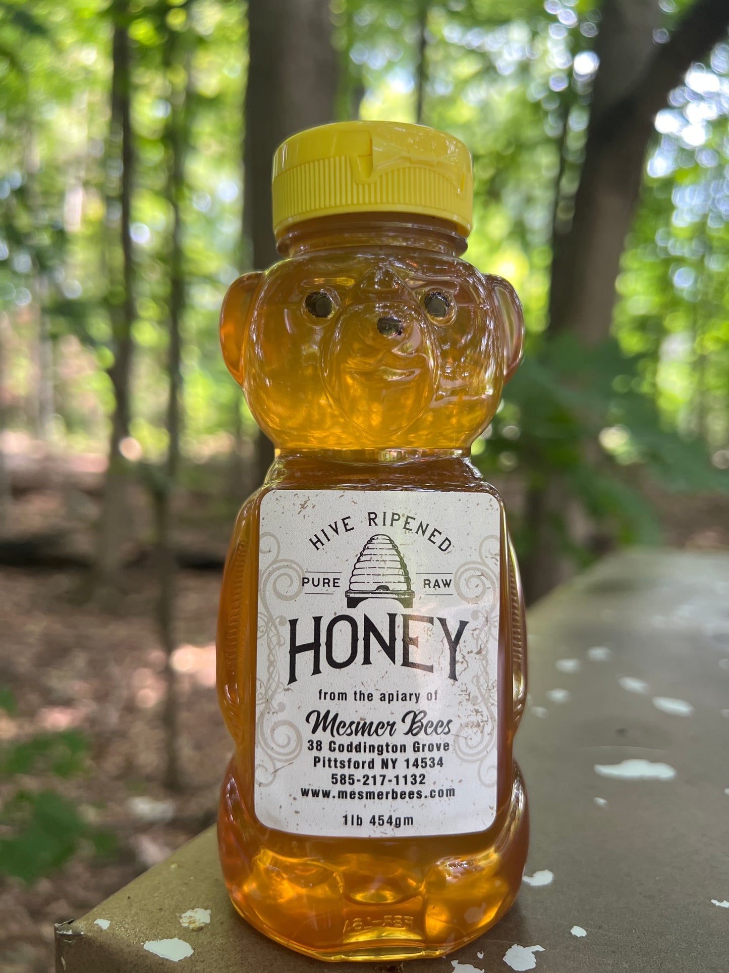 Mendon Ponds Summer