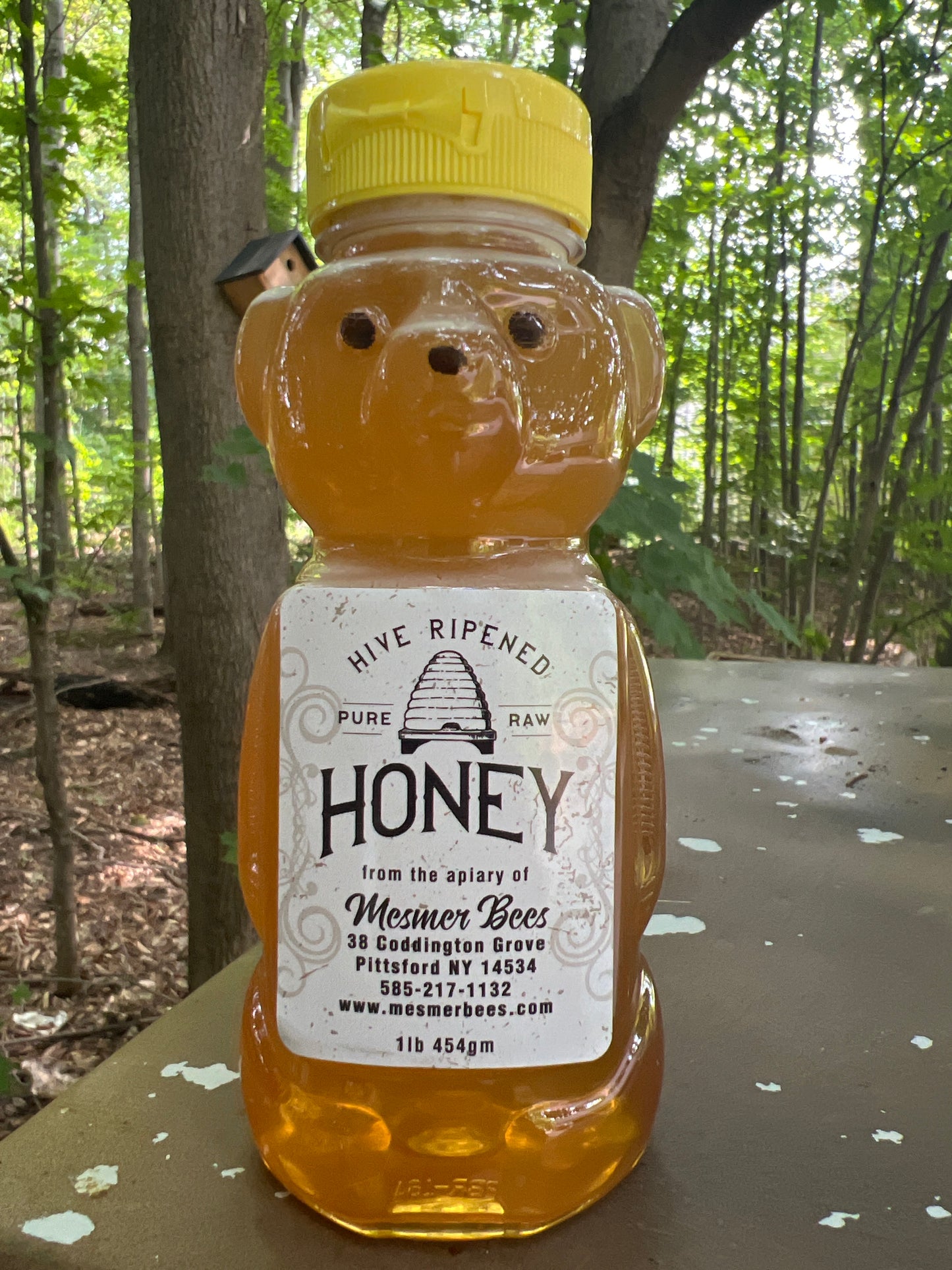 Honeoye Falls Summer