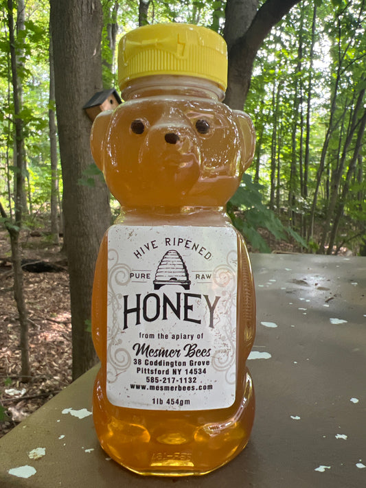 Honeoye Falls Summer
