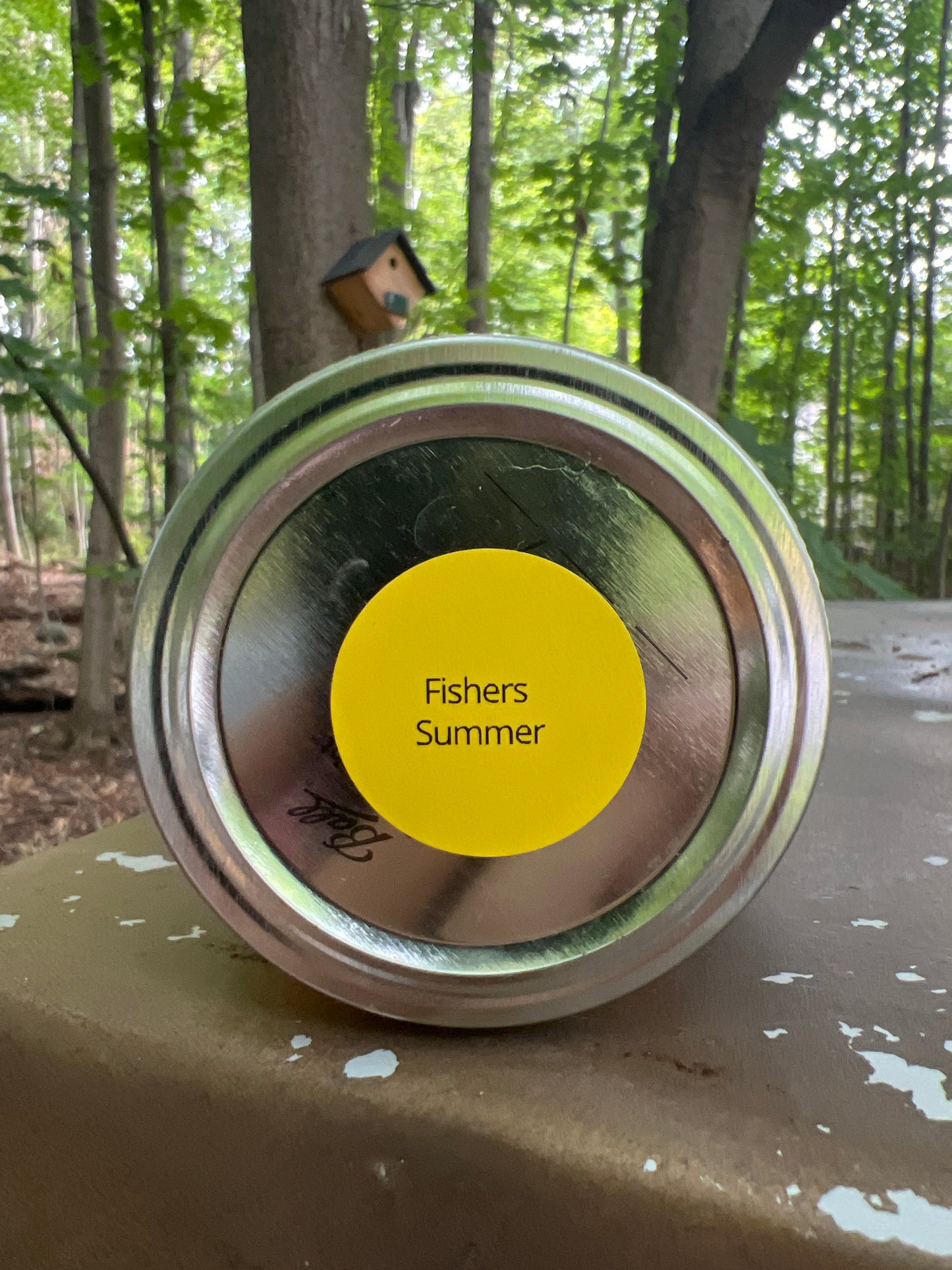 Fisher’s Summer