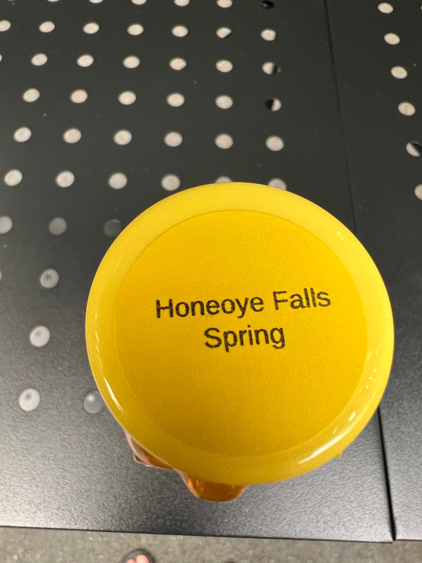 Honeoye Falls Spring