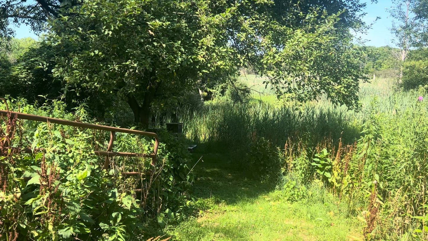 Fisher’s Summer