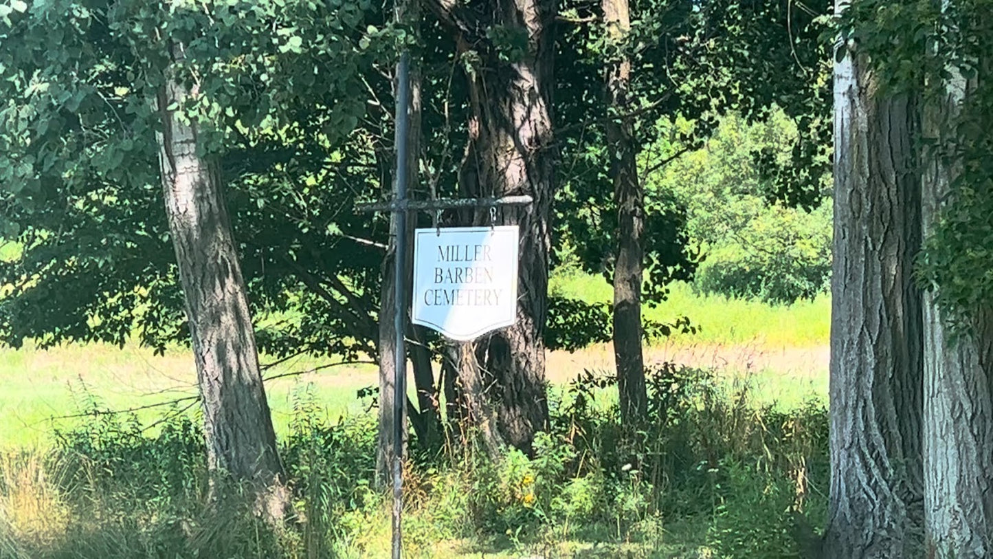 Mendon Summer