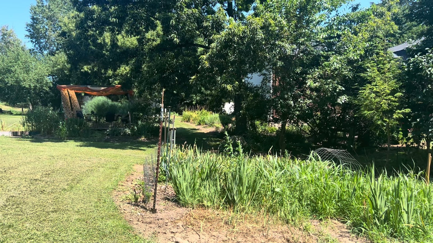 Mendon Summer