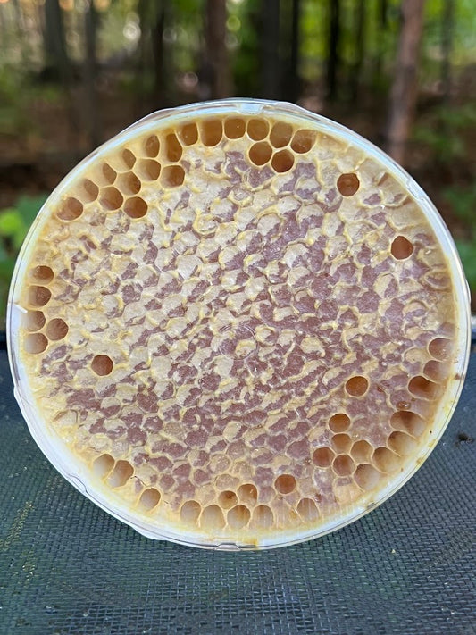 Comb Honey