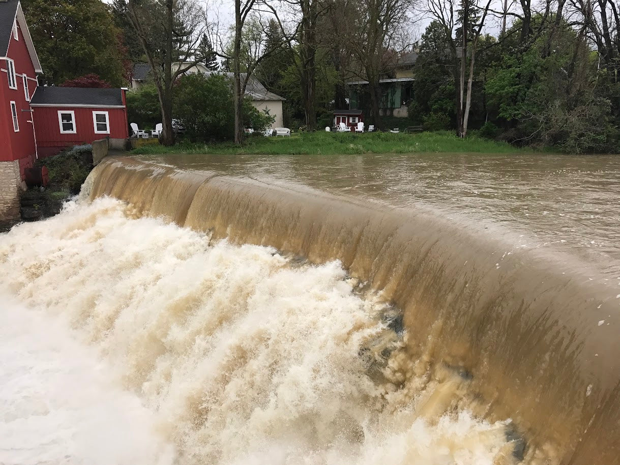 Honeoye Falls Summer