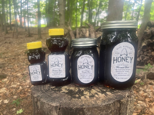 Knotweed Honey