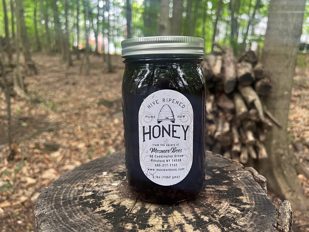 Knotweed Honey